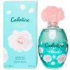 Cabotine Floralie