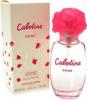 Cabotine Rose