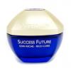 Guerlain Success Future RichDayCare        ,  ,   ()